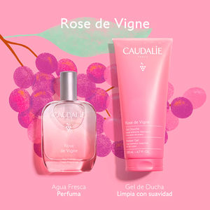 ROSE DE VIGNE-ETUI