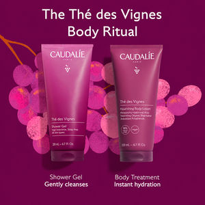 ÉTUI DE THÉ DES VIGNES