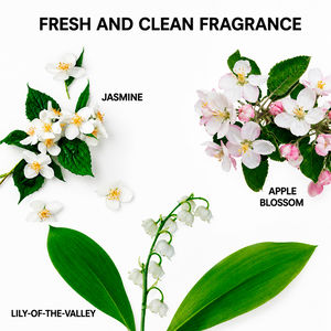 INSTA-WOW Advanced Trockenshampoo