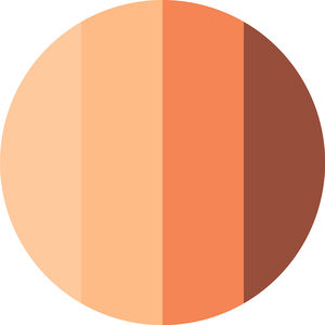 THE BROWN EDITION mini paleta de sombras de ojos