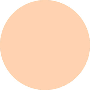 SILKY BLUR prebase perfeccionadora