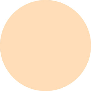 MATTE BLUR mattifying compact powders