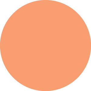 PAAKIŲ ŠVIESINIMO PRIEMONĖ tamsius ratilus skaistinanti