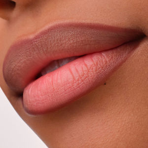 PRECISION INK lip liner with an ink effect