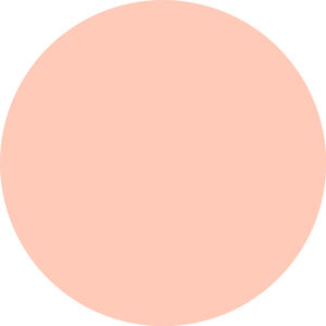 HYDRA WHIP hydrating primer