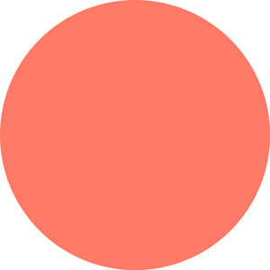 CLOUD TINT cushion blush