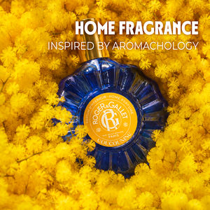 COUCOUNING home fragrance
