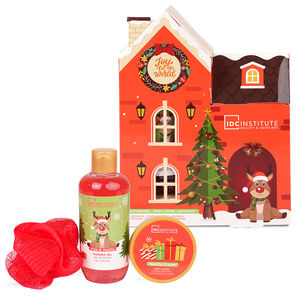 CHRISTMAS HOLIDAY HOUSE CASE