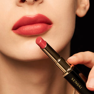 Recharge de ROUGE À LÈVRES CONTOURING