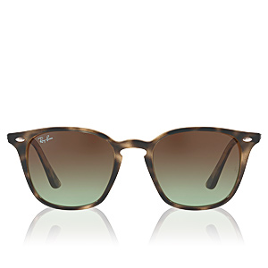 

RAYBAN RB4258 731/E8 50 Mm