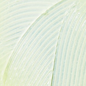 LIP BALM skin protectant